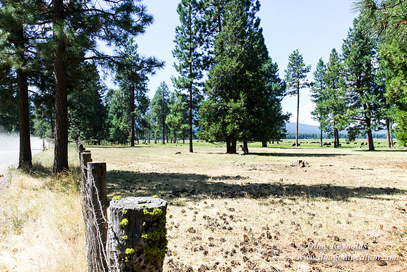 Ranch 18