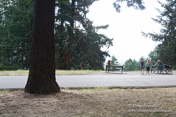 Mt Tabor Top- View 3 West