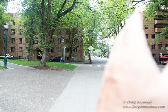 Portland Streets
