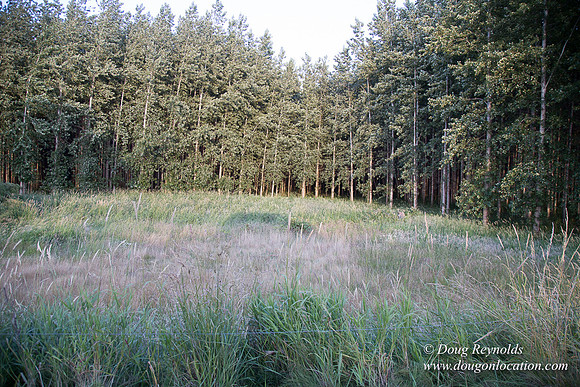LCG & GWG Tree Farm