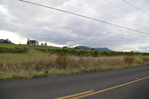 Dilly Rd-1508