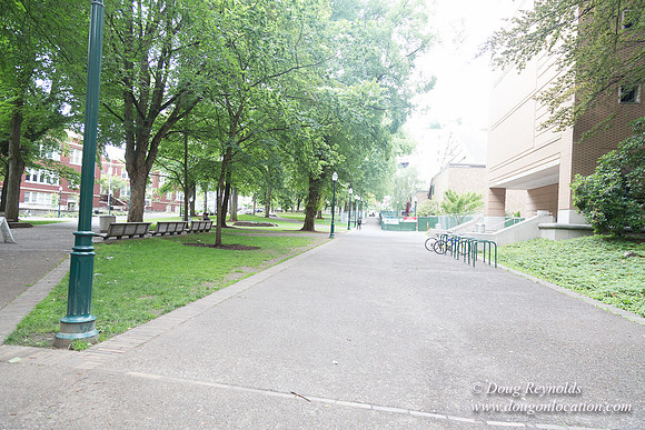 Portland Streets