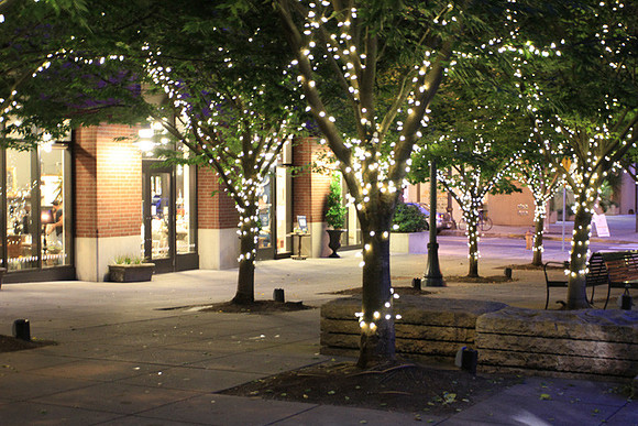Jamason Park-6546