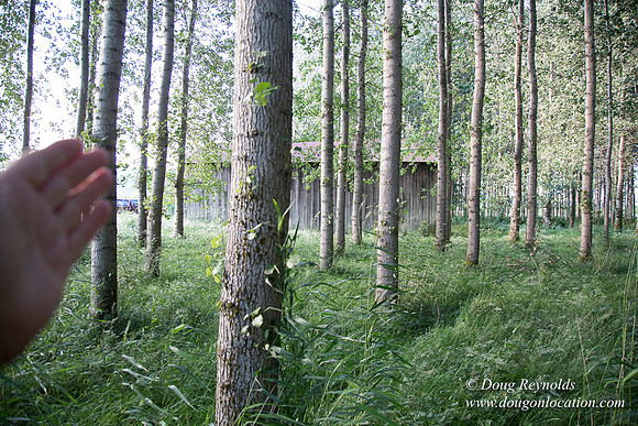 LCG & GWG Tree Farm