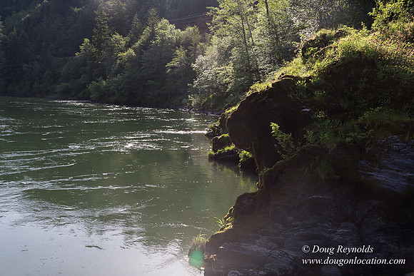 River 36 Running Wild