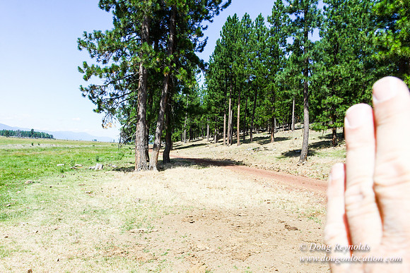 Ranch 18