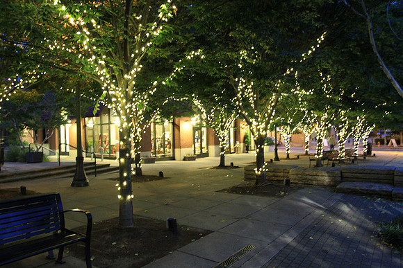Jamason Park-6544