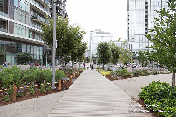 The Fields Park