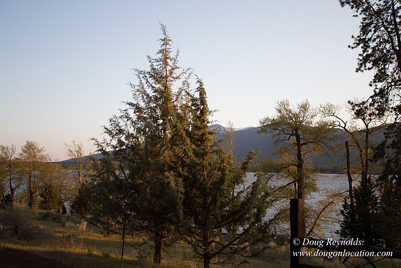 Ranch 18