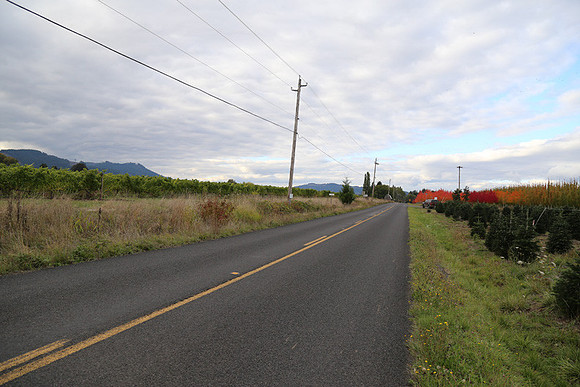 Dilly Rd-1510