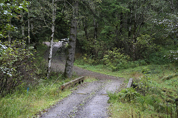 Shields Rd-0159
