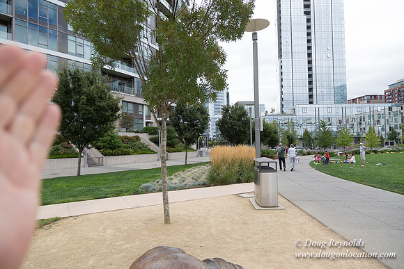 The Fields Park