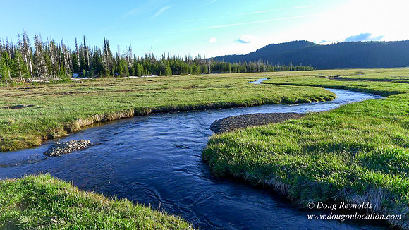 Sparks Creek