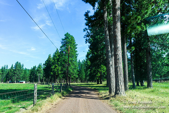 Ranch 18