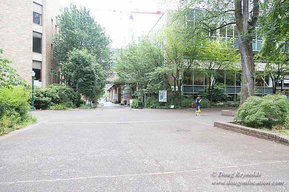 Portland Streets