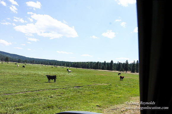 Ranch 18