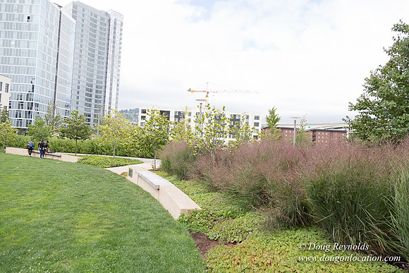 The Fields Park