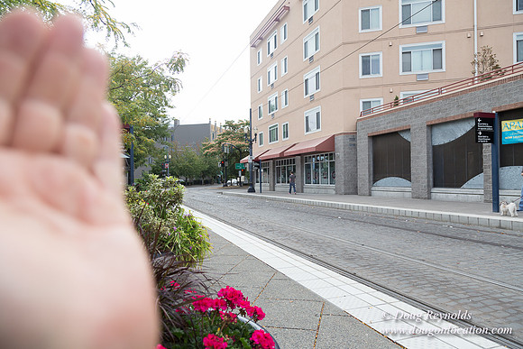 Portland Streets