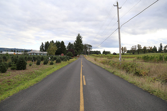 Dilly Rd-1499