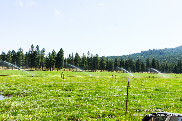 Ranch 18