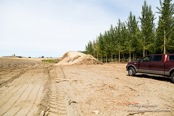 Tree Farm