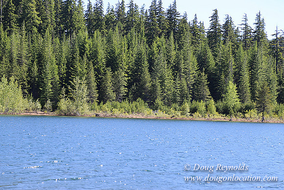 Clear Lake-3411