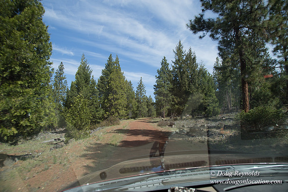 Ranch 18