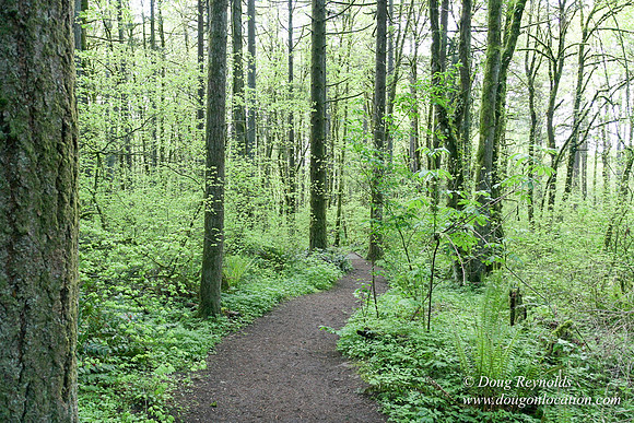 Tryon State Park