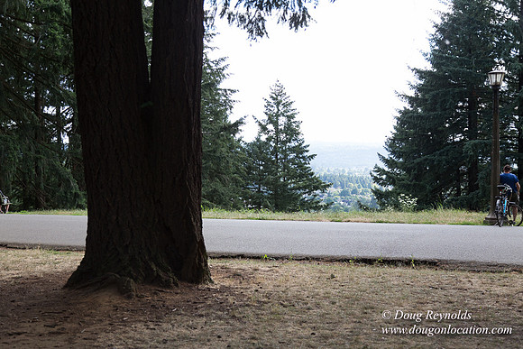 Mt Tabor Top- View 3 West
