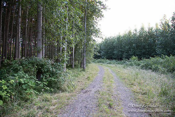 LCG & GWG Tree Farm