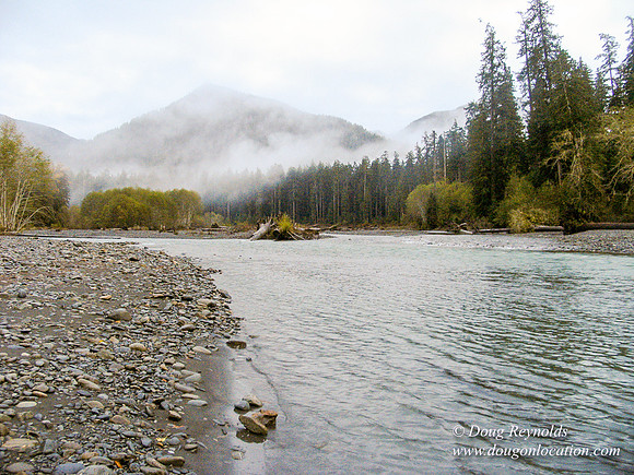WA River 6