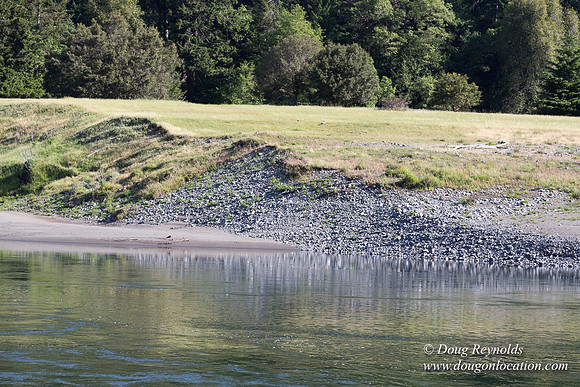 River 36 Running Wild