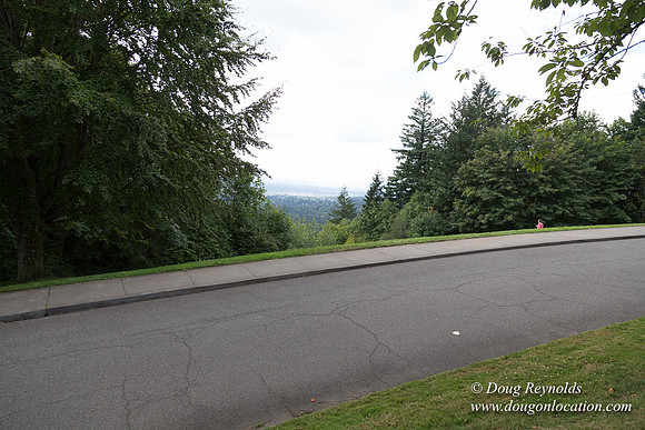 Council Crest Park View