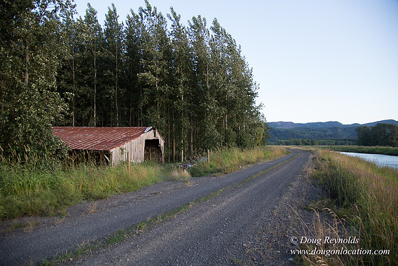 LCG & GWG Tree Farm
