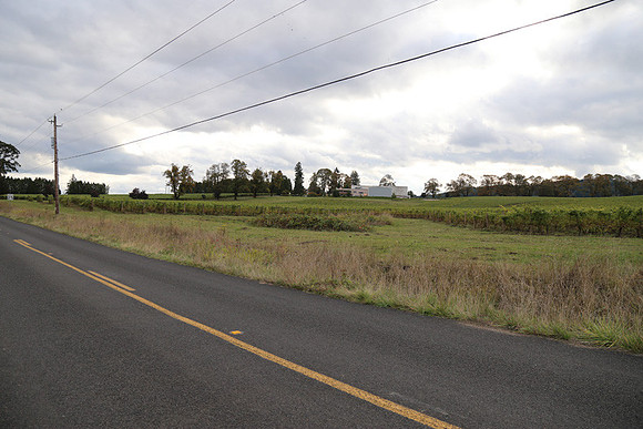 Dilly Rd-1504