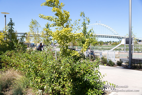 The Fields Neighborhood Park
