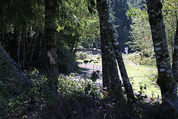 Neahkahnie Cr Rd-0910