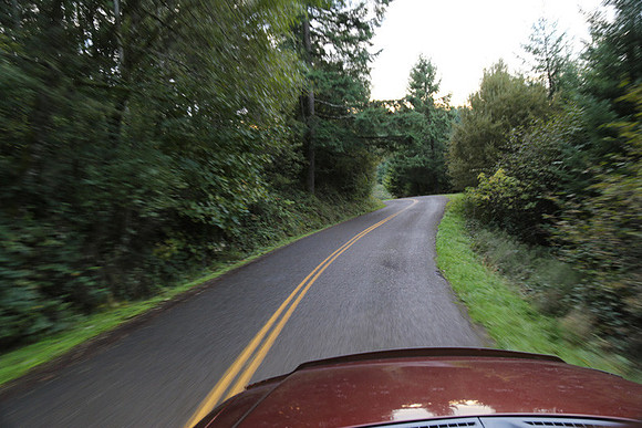 Woodland Ln-1746