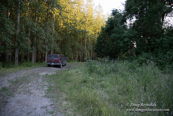 LCG & GWG Tree Farm