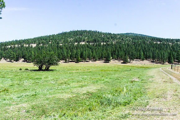 Ranch 18