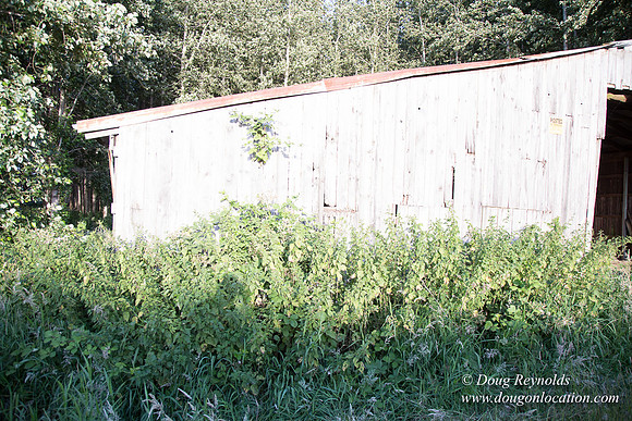 LCG & GWG Tree Farm