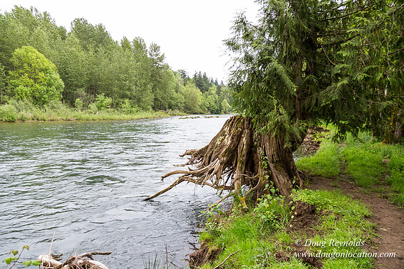 Ranch 21 at River
