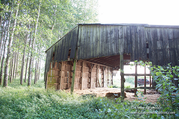 LCG & GWG Tree Farm