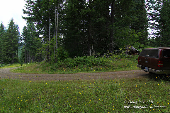 Tree & Forested locations