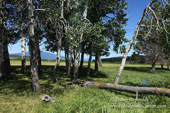 2500 Acres of green fields Creeks water crossing Bridges on a Large Lake and miles of Dirt roads Oak trees Forest land ATV Trails cows