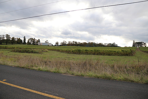 Dilly Rd-1505