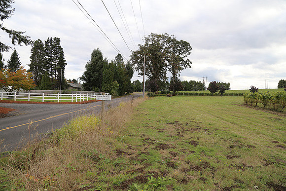 Dilly Rd-1550