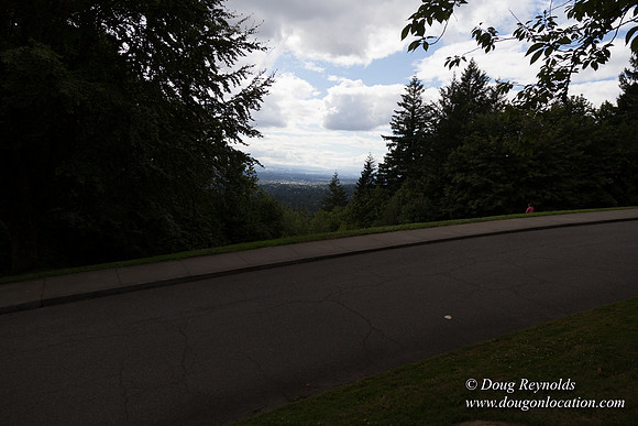 Council Crest Park View