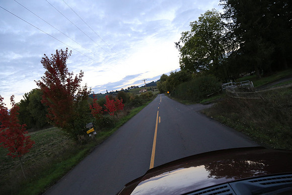 Woodland Ln-1796
