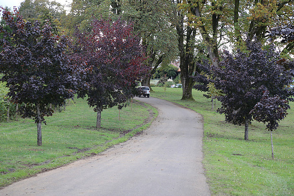 Dilly Rd-1528